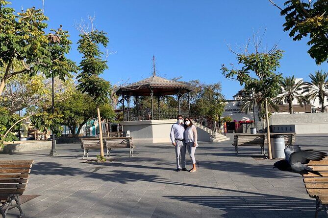 Half-Day Guided Tour in San José del Cabo Art and Beer Tasting - What to Expect from the Tour