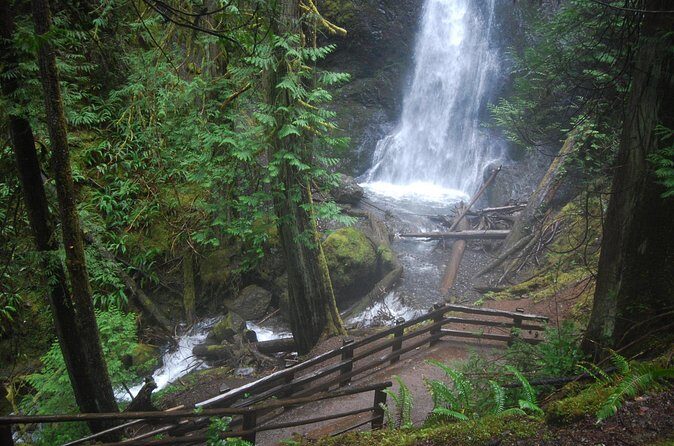 Half Day Guided Tour of Olympic National Park - Marymere Falls