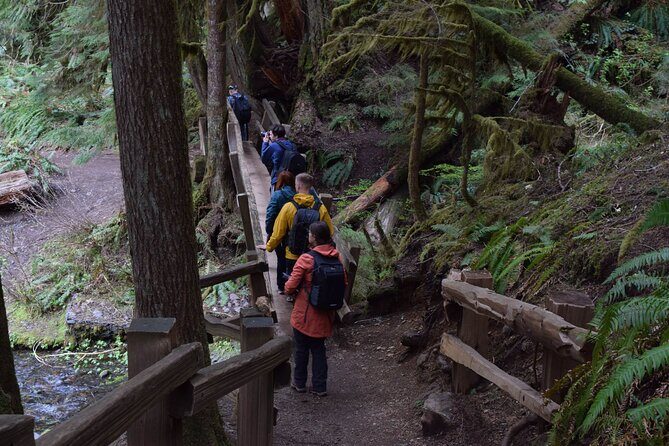Half Day Guided Tour of Olympic National Park - What Do Travelers Say?