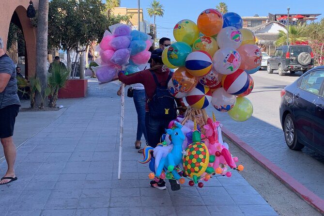 Half-Day: Guided Tour to Todos Santos Magical Town - FAQs