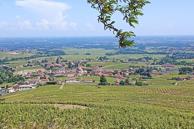 Half-Day Guided Tour with Tasting of Beaujolais Wines - Who Will Love This Tour?