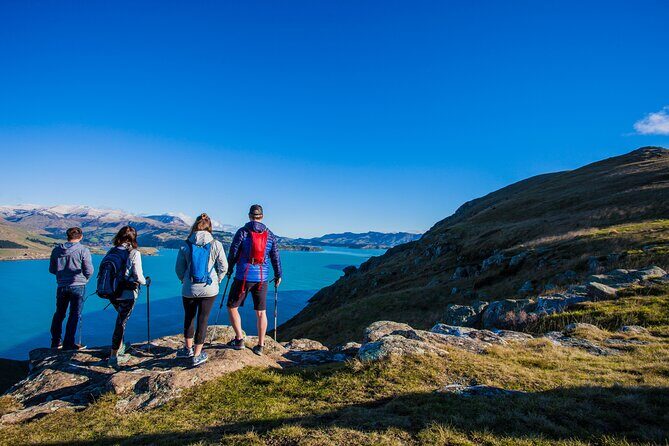 Half Day Guided Walking Tour on Banks Peninsula - What You Can Expect on the Tour
