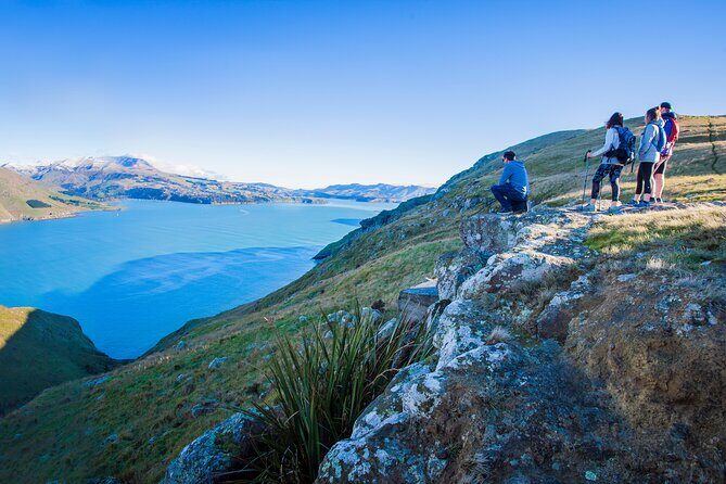 Half Day Guided Walking Tour on Banks Peninsula - Who Should Consider This Tour?