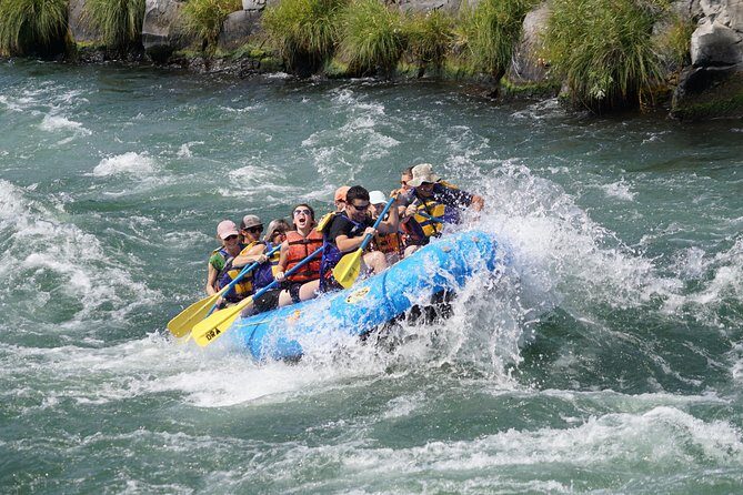 Half-Day Guided Whitewater Rafting - Deschutes River - The Experience on the Water