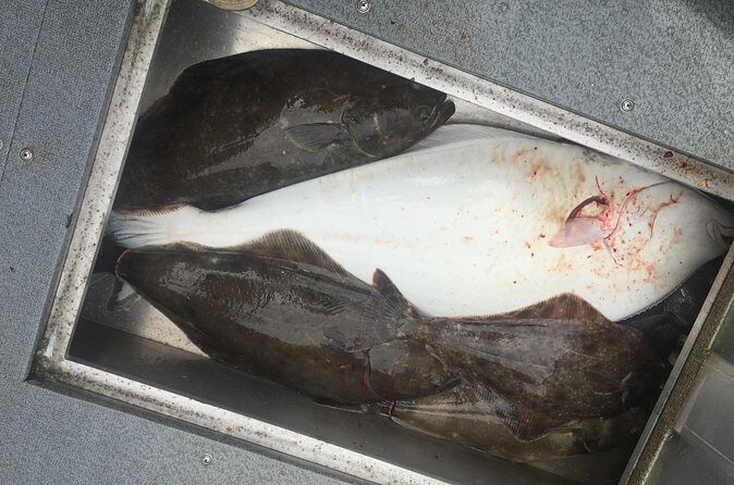 Half Day Halibut Fishing - FAQs