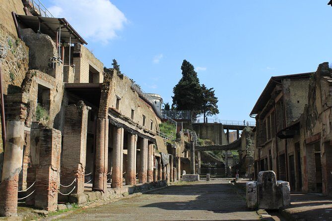 Half Day Herculaneum from Sorrento - Who Would Love This Tour?