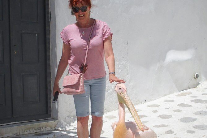 Half-Day Highlights of Mykonos Tour - FAQ