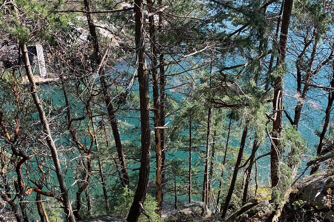 Half-day Hike and Bike Tour in Vancouver - What You Can Expect from This Tour