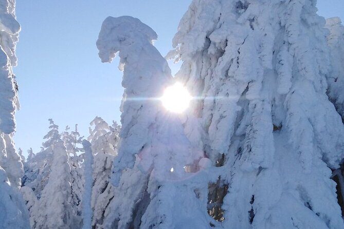 Half-Day Hiking with Private Mountain Guide in the Seven Rila Lakes - FAQs