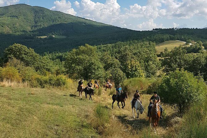 Half-Day Horseback Ride in Tuscany - What to Expect from Your Horseback Ride in Tuscany