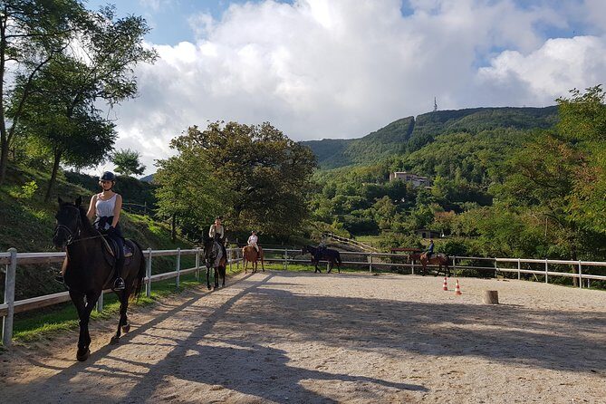 Half-Day Horseback Ride in Tuscany for beginner riders - Introduction