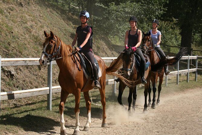 Half-Day Horseback Ride in Tuscany for beginner riders - Key Points