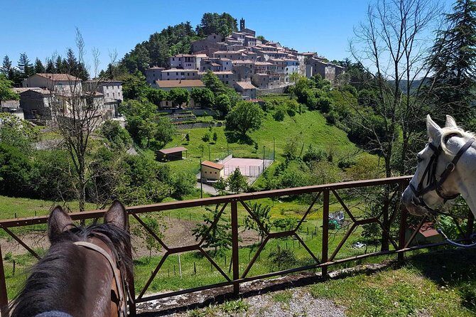 Half-Day Horseback Ride in Tuscany for beginner riders - Practical Info & How It Fits Into Your Trip