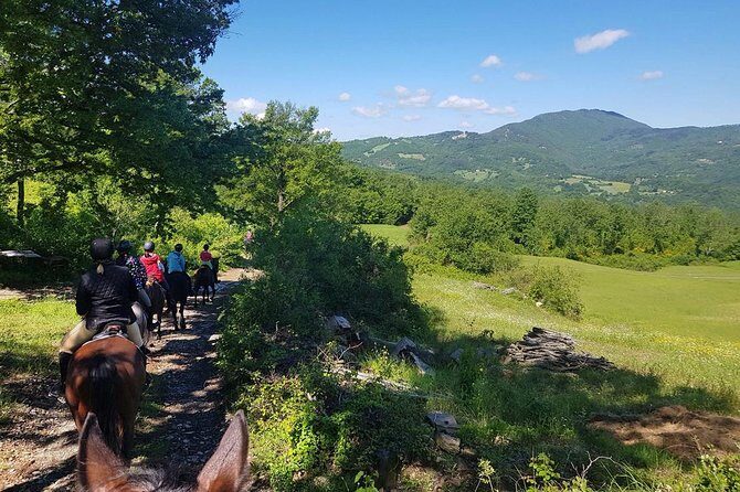 Half-Day Horseback Ride in Tuscany for beginner riders - Who Is This Tour Best For?