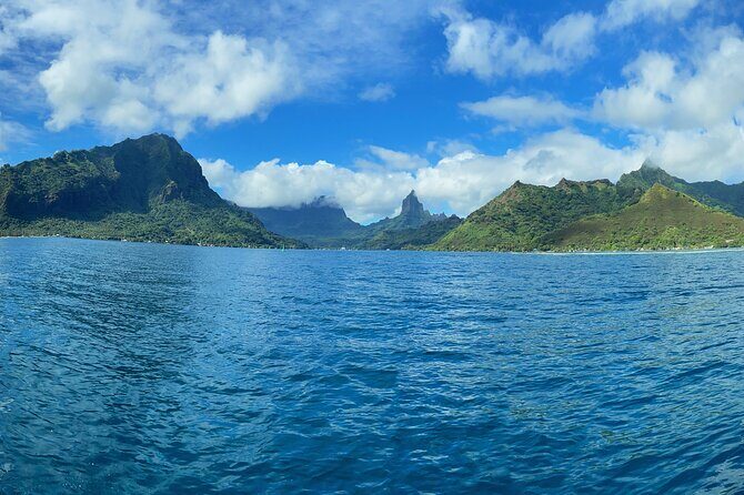 Half-Day Humpback Whales Encounter in Moorea - Discovering the Half-Day Humpback Whales Encounter in Moorea