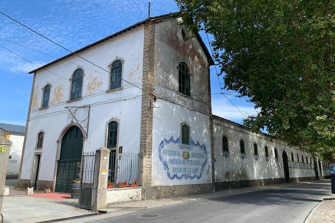 Half Day in Sintra and Cabo da Roca with Wine Tasting - Who Should Consider This Tour?