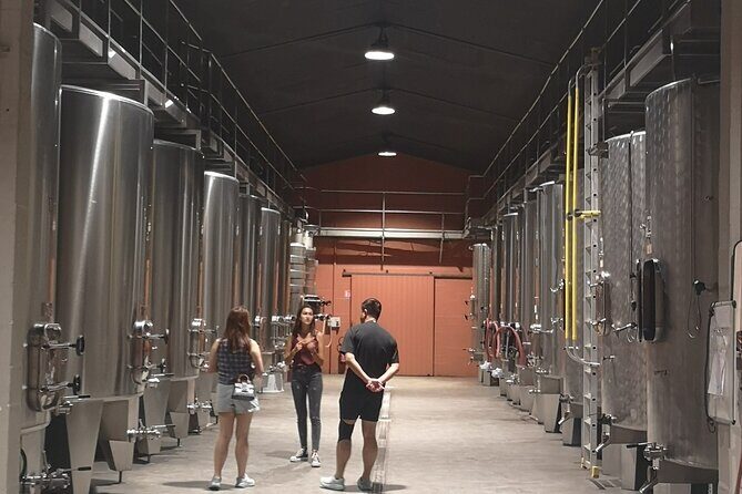 Half-day in the Médoc : 2 wineries & 6 wines - Exploring Bordeaux’s Médoc Region: What to Expect