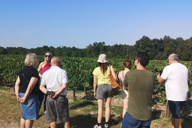 Half-day in the Médoc : 2 wineries & 6 wines - Who Will Love This Tour?