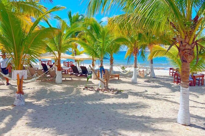 Half-Day Island Tour with Mayan Experience & Beach Break - The Guide Experience: Friendly and Knowledgeable