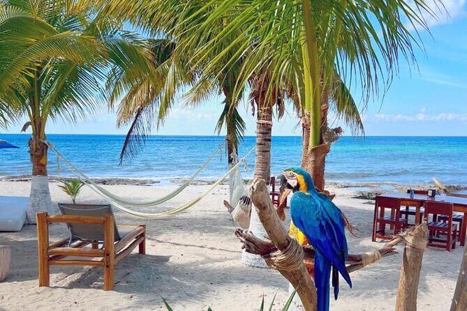 Half-Day Island Tour with Mayan Experience & Beach Break - Transportation & Group Size: Why It Matters