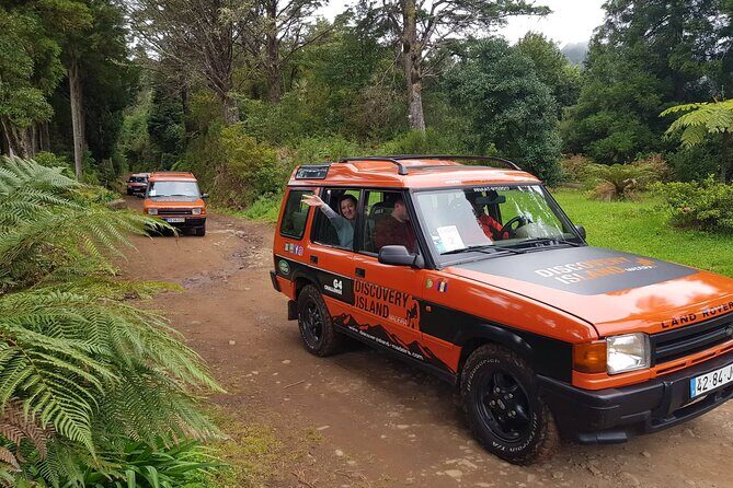Half Day Jeep Safari Tour at Pico Areeiro and Santo da Serra - Who Is This Tour Best For?
