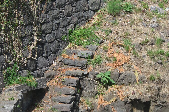 Half day jeep Wine tour and tasting, & sea cliff adventure - Downsides and Considerations