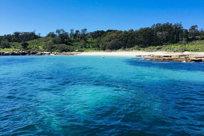 Half-Day Jervis Bay Sea Kayak Tour - Practical Details & Considerations