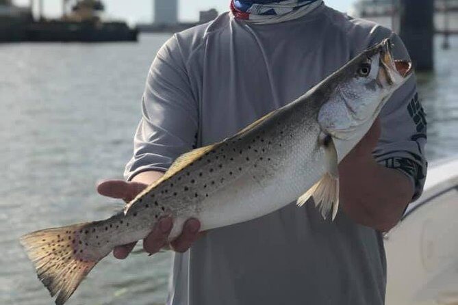 Half-Day Jetty Fishing Trip from Galveston - Final Thoughts