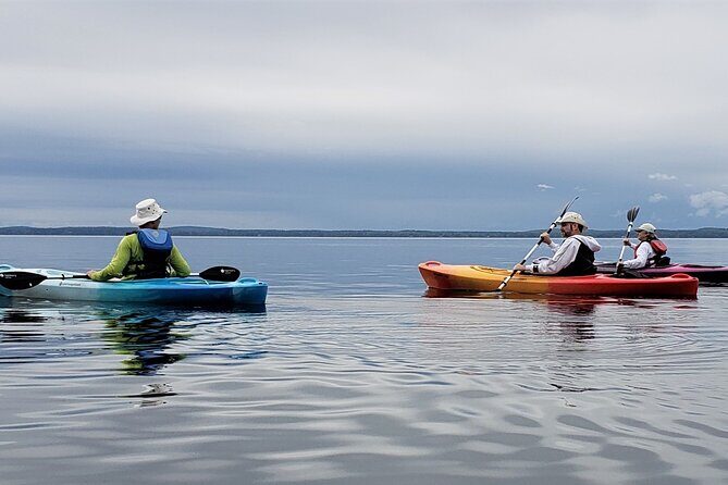 Half Day Kayak Rental on Sebago Lake - What to Expect from the Half-Day Kayak Rental on Sebago Lake