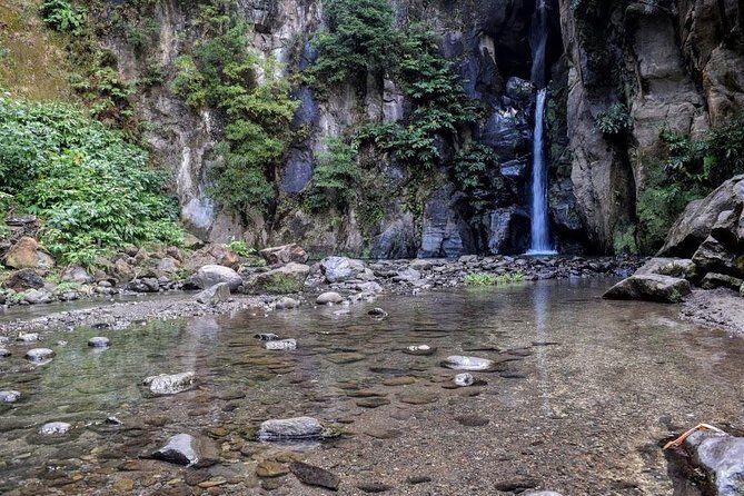 Half day Lagoa do Fogo - A Closer Look at the Tour Experience