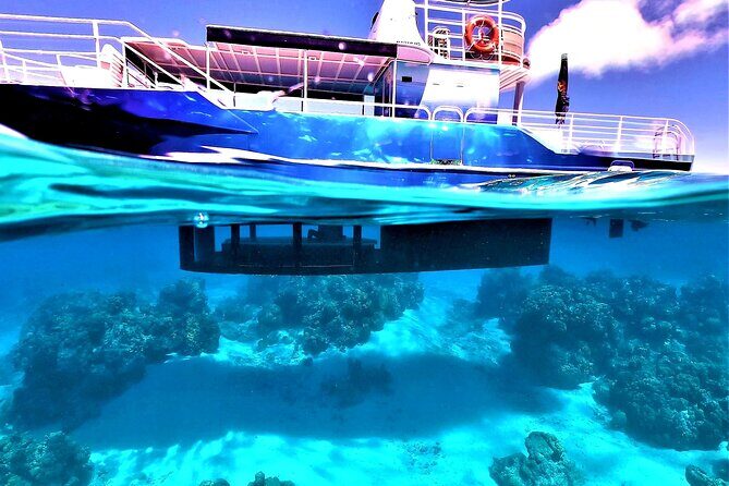 Half day lagoon safari tour in Bora Bora- Shared tour - FAQs