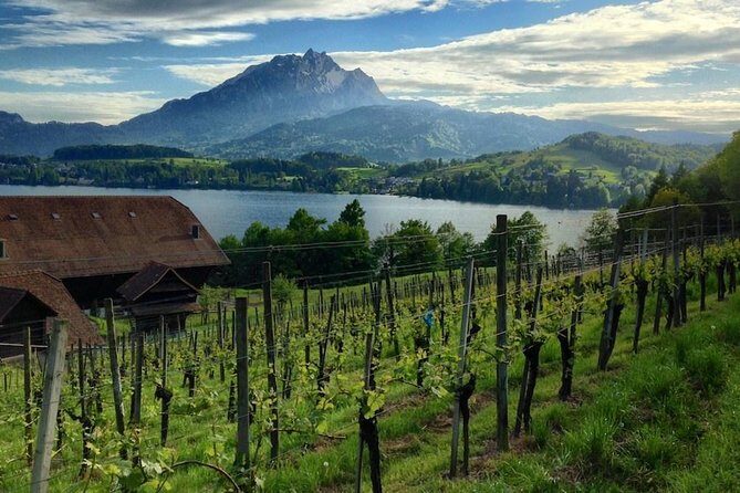 Half-Day Lake Lucerne Country Walk - The Full Scoop on the Half-Day Lake Lucerne Country Walk