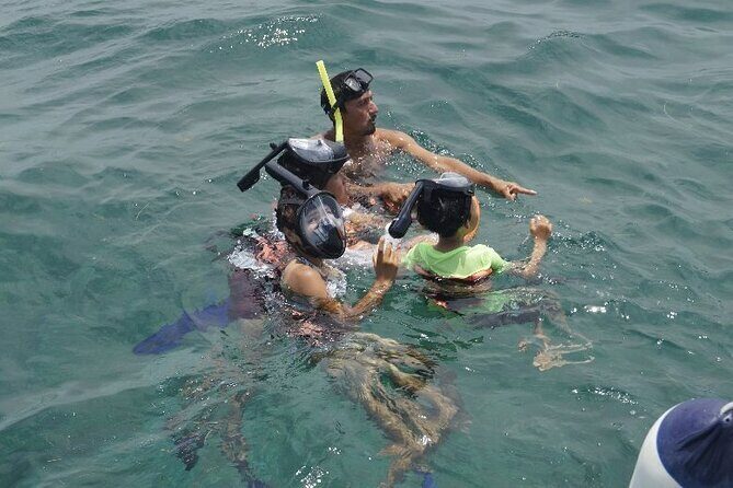 Half Day Lite Tour to Isla Mujeres - Who Is This Tour Best For?