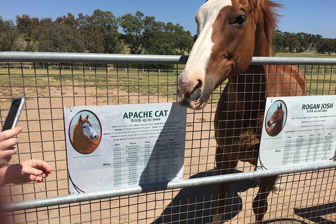 Half Day Living Legends tour with Devonshire Tea - Who should consider this tour?