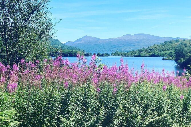 Half Day Loch Katrine Explorer Ebike Tour - Who Is This Tour Best For?