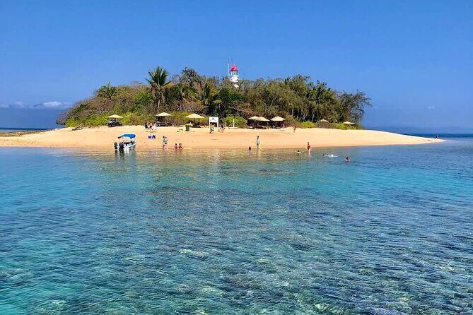 Half Day Low Island and Lagoon Snorkeling from Port Douglas - The Itinerary: What You Can Expect