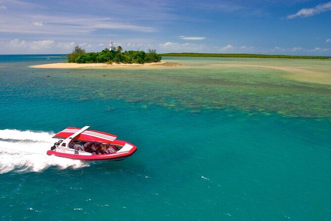 Half Day Low Island and Lagoon Snorkeling from Port Douglas - Real Experiences from Travelers