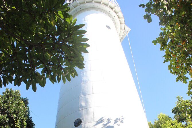 Half Day Low Island and Lagoon Snorkeling from Port Douglas - Who Is This Tour Best Suited For?