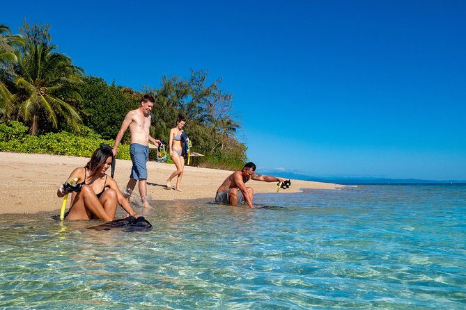 Half Day Low Isles Snorkelling Tour from Port Douglas - How the Tour Is Organized
