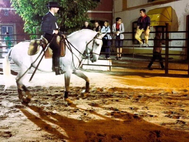 Half-day Lusitanian Horses & Photography Museum private tour - FAQs