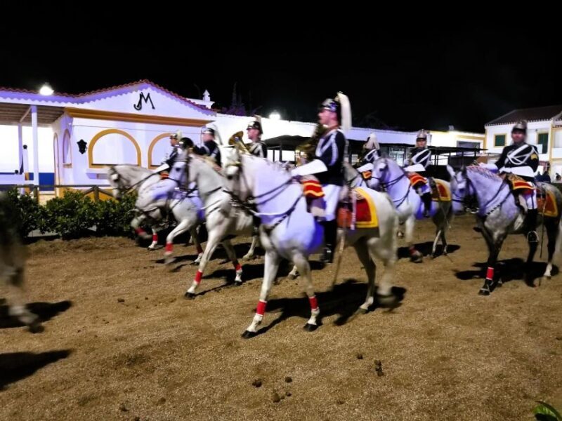 Half-day Lusitanian Horses & Photography Museum private tour - Final Thoughts