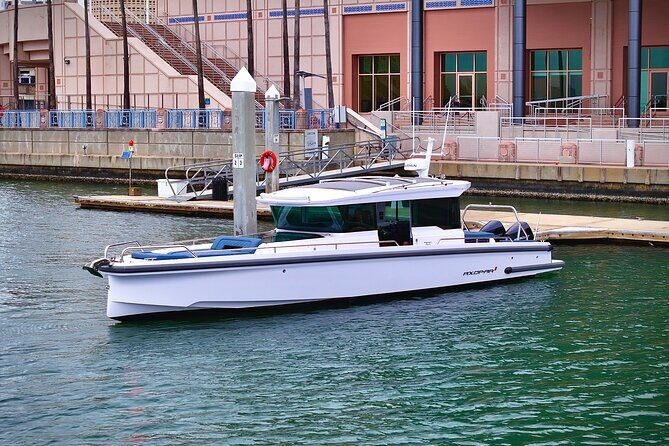 Half Day Luxury Boat Tour in Bradenton with Snorkeling - What to Expect from the Itinerary