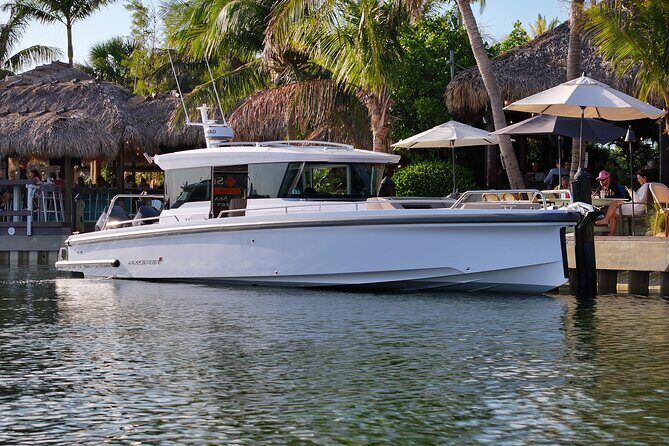 Half Day Luxury Boat Tour in Tampa with Snorkeling - Who This Tour Is Best For