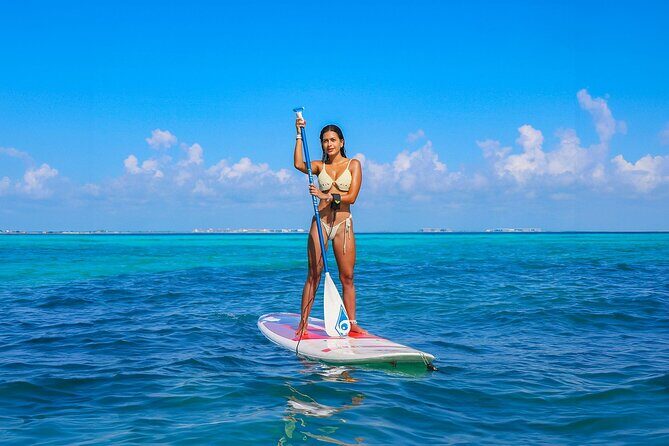 Half-Day Luxury Sailing in Puerto Morelos with Open Bar - What the Tour Offers: An In-Depth Look