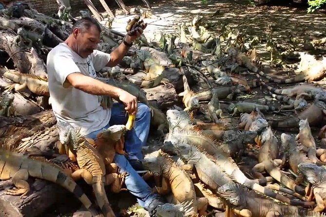 Half-day Manzanillo City Tours - Exploring the Half-day Manzanillo City Tour: What You Can Expect