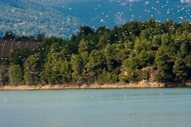 Half Day Marathon Private Tour - The Itinerary in Detail