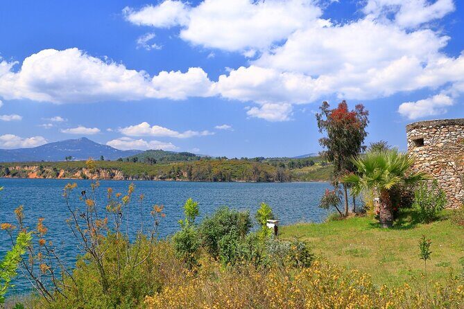 Half Day Marathon Private Tour - Final Thoughts