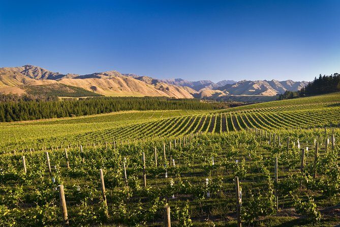 Half-Day Marlborough Wine Tour & Beer Tour - Final Thoughts