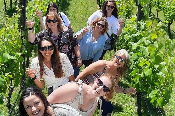 Half Day Martinborough Winery Tour from Wellington - The Experience Breakdown