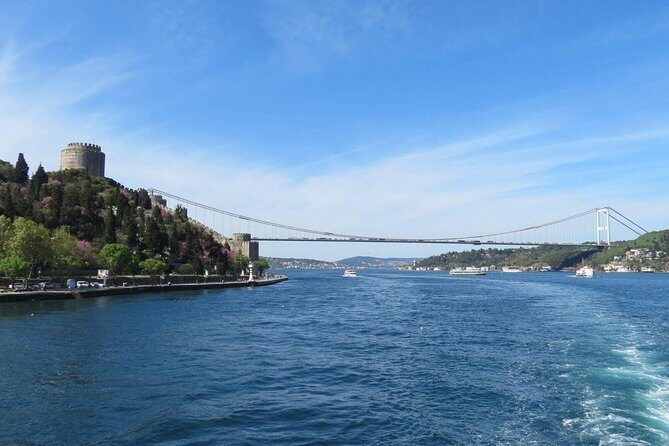 Half Day Morning Bosphorus Cruise & Spice Bazaar visit (Bus and Boat Tour) - Who Is This Tour Best For?